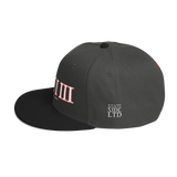 713 Bold Stateside LTD Snapback Hat