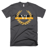 Victorious 6x PIT
