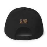 202 DC Stateside LTD Snapback Hat