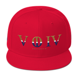 504 RWGB Stateside LTD Snapback Hat