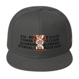 DNA Level C Snapback Hat