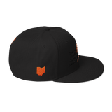 DNA Level C Snapback Hat