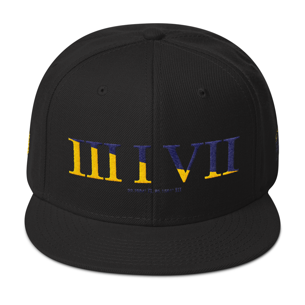 317 Split Stateside LTD Snapback Hat
