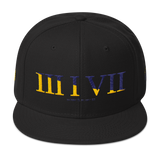 317 Split Stateside LTD Snapback Hat