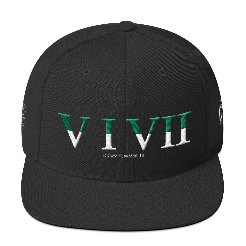 517 Stateside LTD Snapback Hat