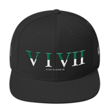 517 Stateside LTD Snapback Hat