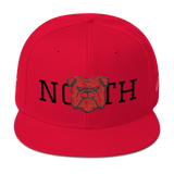 330 City Series Special North Snapback Hat