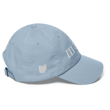 330 Stateside LTD Dad Hat