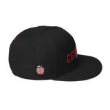 Columbus Public Central Vintage Snapback Hat