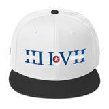 317 Indy Stateside LTD Snapback Hat