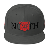 330 City Series Special North Snapback Hat