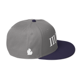 313 Classic Stateside LTD Snapback Hat