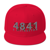 4841 Classic Snapback Hat