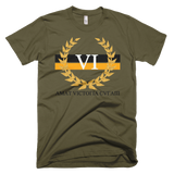 Victorious 6x PIT