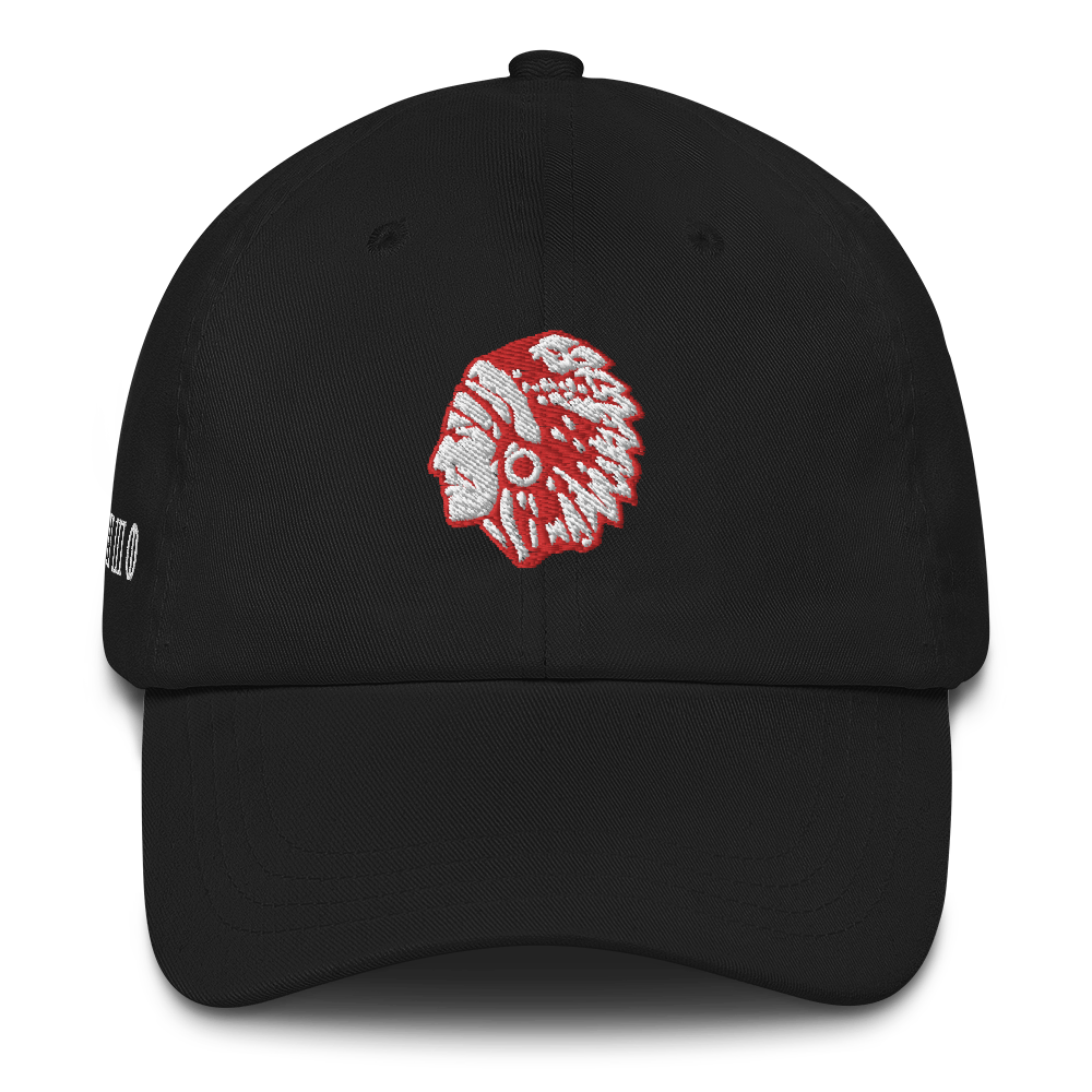 330 City Series Classic Wilson Dad Hat