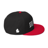 313 Classic Stateside LTD Snapback Hat