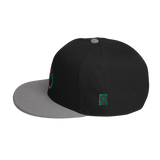Powered by The People Snapback Hat