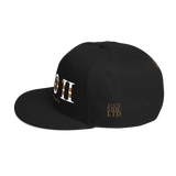 202 DC Stateside LTD Snapback Hat
