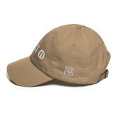 330 Stateside LTD Dad Hat