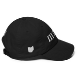 330 Stateside LTD Dad Hat