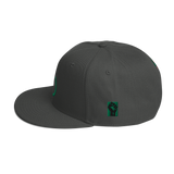 Powered by The People Snapback Hat