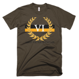 Victorious 6x PIT