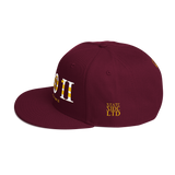 202 DC Stateside LTD Snapback Hat