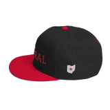 Columbus Public Central Vintage Snapback Hat