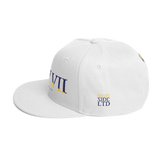 317 Split Stateside LTD Snapback Hat