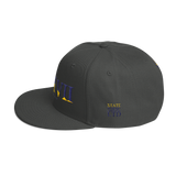 317 Split Stateside LTD Snapback Hat