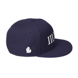 313 Classic Stateside LTD Snapback Hat