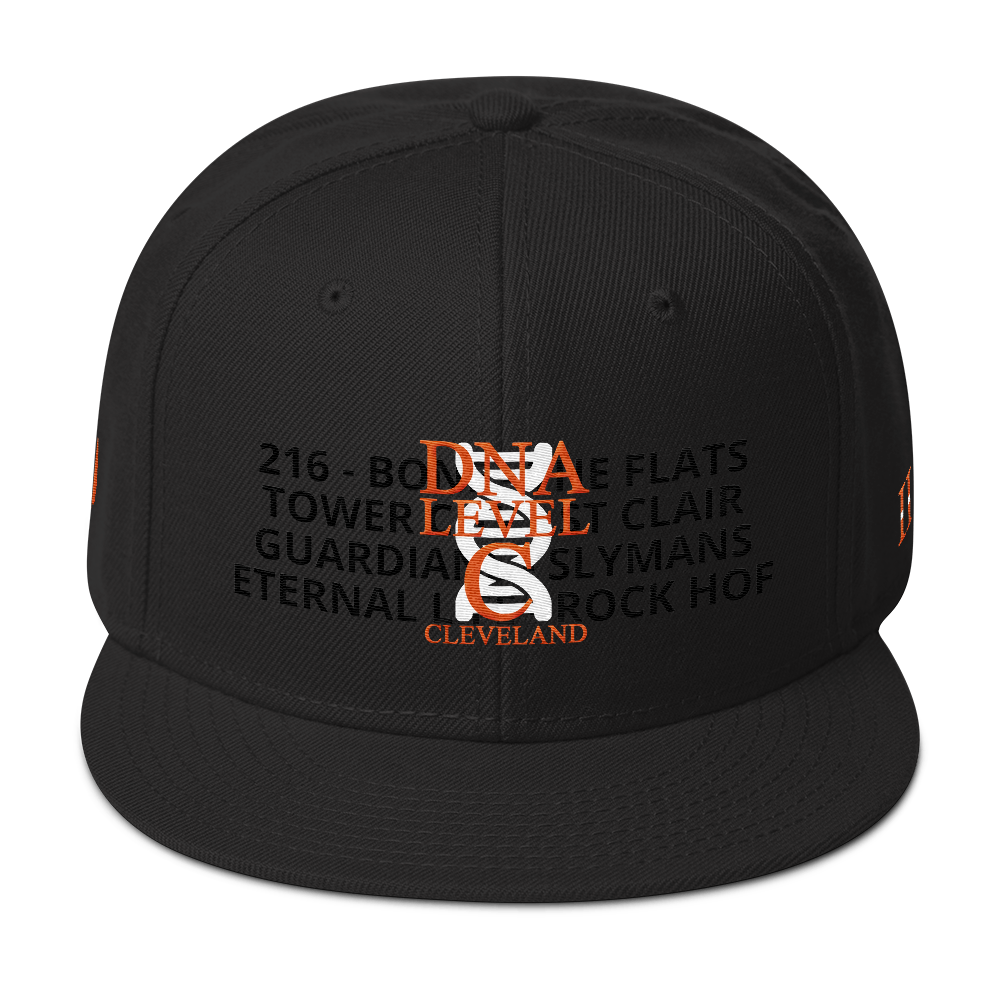 DNA Level C Snapback Hat