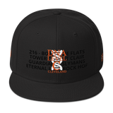 DNA Level C Snapback Hat