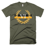 Victorious 6x PIT