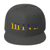 317 Split Stateside LTD Snapback Hat