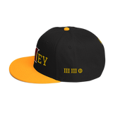 330 City Classic Mooney Snapback Hat