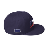 215 Landmark Stateside LTD Snapback Hat
