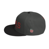 Columbus CAHS Dragons 2000 Classic Snapback Hat