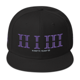 213 Stateside LTD Snapback Hat