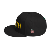 Columbus Northland Classic Snapback Hat