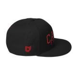 Columbus CAHS Dragons 2000 Classic Snapback Hat