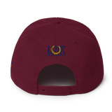 DNA Level C Snapback Hat
