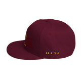 DNA Level C Snapback Hat