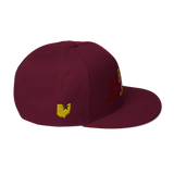 DNA Level C Snapback Hat