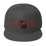 Columbus CAHS Dragons 2000 Classic Snapback Hat
