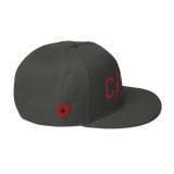 Columbus CAHS Dragons 2000 Classic Snapback Hat