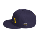 313 Stateside LTD FabFiveVibe Snapback Hat