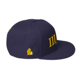 313 Stateside LTD FabFiveVibe Snapback Hat