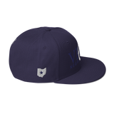 Columbus BlueBirds 614 Vintage Snapback Hat
