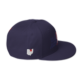 DNA Level C Snapback Hat
